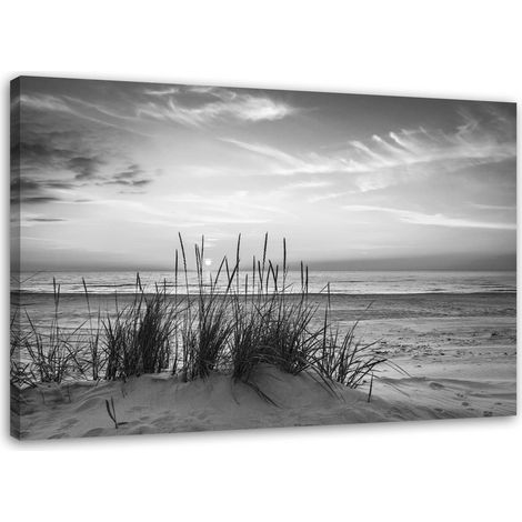 Stampa su tela, Erbe sulla spiaggia - bianco e nero - 60x40 (1/4)