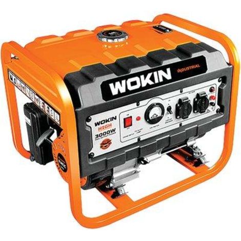 GENERATORE CORRENTE 791230 WOKIN - 4T KW 3,0/2,8 MONOFASE - 1 pezzo