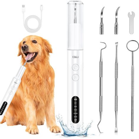 Éliminateur de tartre pour chien, nettoyeur dentaire à ultrasons pour chiens et chats avec technologie de capteur, 5 modes, lumière LED, USB-C, étanche IPX6, kit de nettoyage dentaire (1/5)