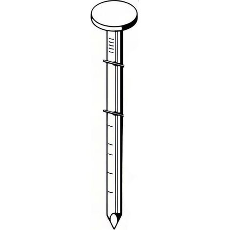 7 200 Pointes Roofing Annelées Inox A2 16° (Coil) - 3.05/10x25 mm - D-Work (1/2)