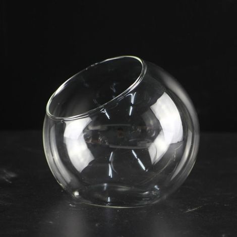 Vase en verre borosilicate transparent pour plantes grasses - Décoration de bureau (16 cm) (1/5)