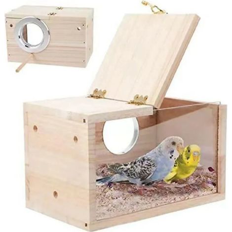 Nichoir transparent et visible pour perroquet, décoration de jardin extérieur, nid d'oiseau en bois (1/5)