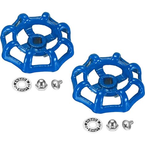 2 Außenarmaturengriffe – 6 mm Vierkantschaft – blau lackiertes Gusseisen – robuster Ersatz – für Garten und Bad – 58 x 15 mm (1/5)