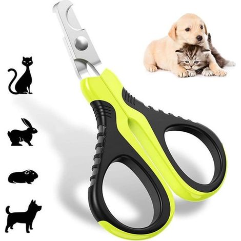 Cortauñas para perros y gatos, Tijeras para uñas de gatos, Para roedores, cachorros, gatitos, Afilado, seguro y resistente a arañazos, Verde (1/5)
