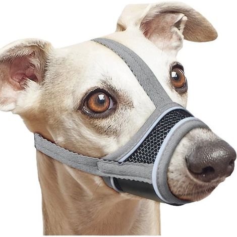 Museruola regolabile e traspirante per l'addestramento dei cani, con robuste cinghie di fissaggio, taglia XXL, per una lunghezza del muso da 7 a 8 cm. (1/4)
