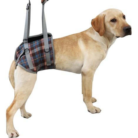 Professionelles, verstellbares und atmungsaktives Hunde-Hebegeschirr mit Assistenzgurt für behinderte oder sehr alte Hunde, blau kariertes Muster, für die Hinterbeine, Größe M (empfohlen für 12,5 bis (1/5)
