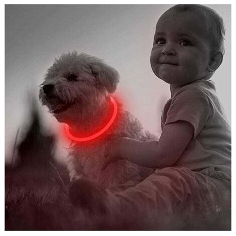 Collier pour chien LED rechargeable par USB pour la sécurité nocturne - Collier lumineux tendance pour chiens de petite, moyenne et grande taille (1 paquet, rouge, 50,8 cm) (1/5)