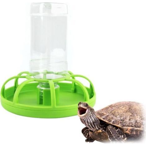 Vert Abreuvoir pour Reptiles, Abreuvoir Tortue, Accessoire Tortue Terrestre, Fontaines à Boire en Plastique pour Amphibiens, Mangeoire Amovible avec Bouteille d'eau (1/5)