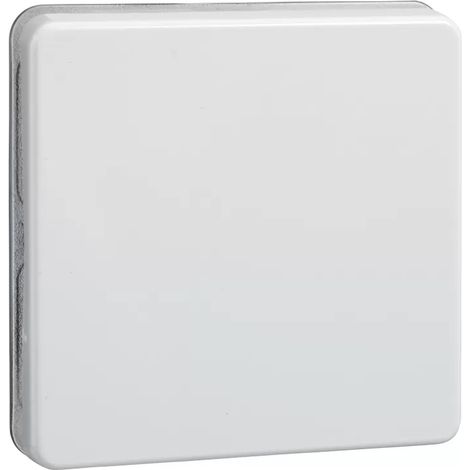 Elso Wippe rw f.Taster/Schalter 233604 (1/2)