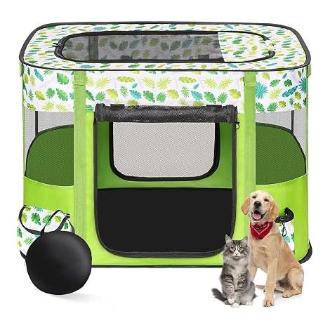 Portable Kennel for Pets 80 x 60 x 55 cm, Foldable, Rectangular, Cat Closed, with Carry Bag (Green Grass) (1/5)
