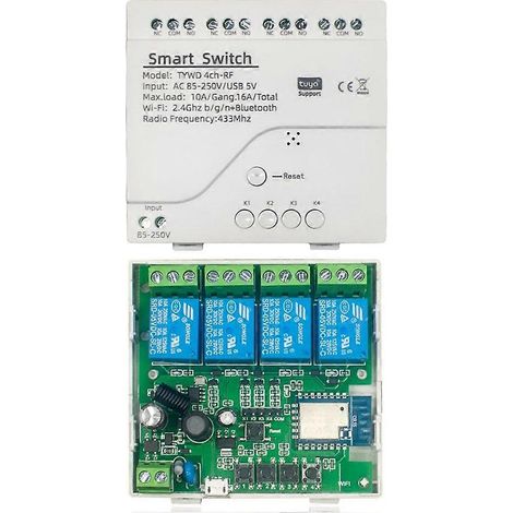 Interrupteur intelligent Tuya WiFi avec minuterie DIY AC 85V-250V 4CH, module domotique RF Smartlife compatible avec Alexa et Google Home (1/4)