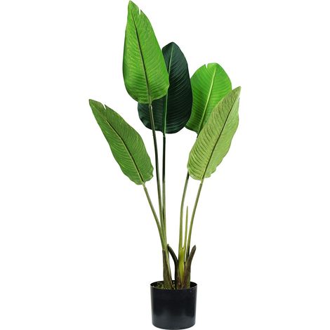 STRELITZIA PLANT H. 100 cm 5 FEUILLES