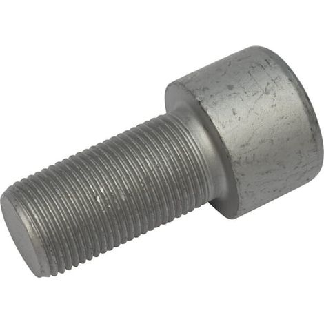 Vite brugola M20x1,5x40-10.9 LEMKEN 30110255 (1/2)