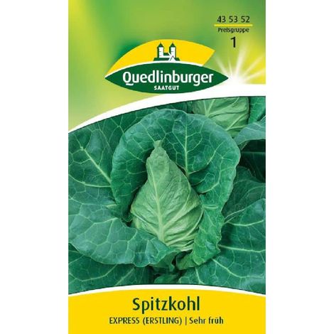 Quedlinburger Spitzkohl Express - Gemüsesamen (1/2)