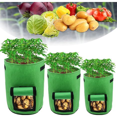 Randaco 30er Set Pflanzsäcke 26,5 L aus Vlies mit Sichtfenster & Griffen, Kartoffel-Pflanztaschen für Gemüse, Balkon & Garten (1/5)