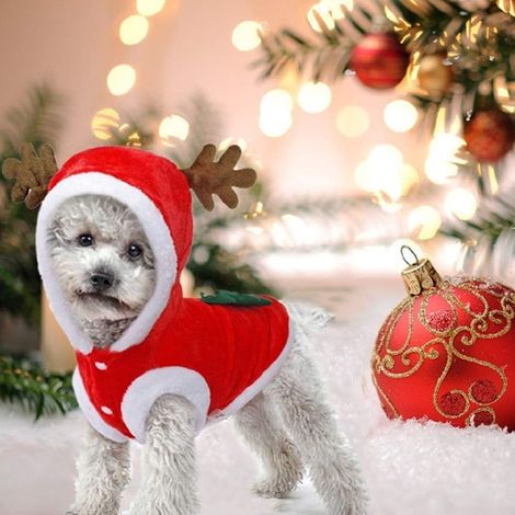 Weihnachtskleidung für Hunde, Weihnachtsmannkostüm, süßes Rentier-Hundekostüm