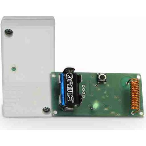 Sensore di temperatura wireless remoto