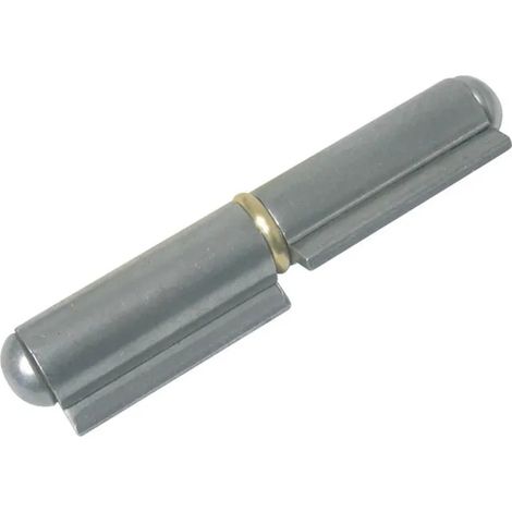 Cerniera Faure-et-fils paumelle 144 acciaio 100x11 mm
