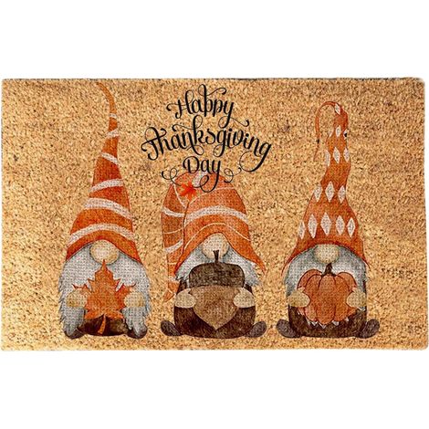 Tapis D'Entrée - Tapis Anti-Dérapant Extérieur Intérieur - Absorbant Eau - 40 x 60 cm - Pour Hall Porte D'Entrée Cuisine Salon Chambre (1/3)