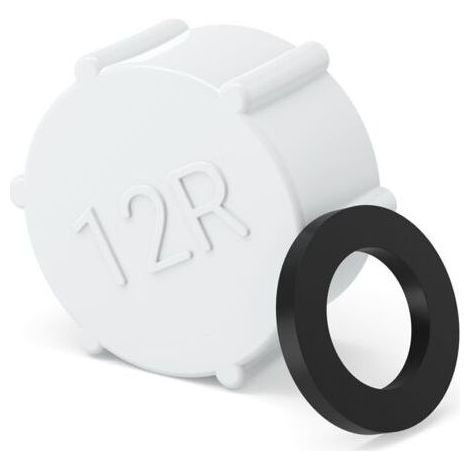Bouchon de Vidange et Joint d’Étanchéité pour Filtre à Sable Intex 11456 (1/5)