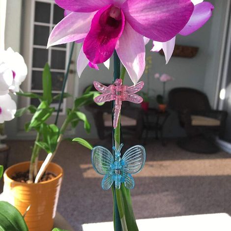 Libellen-Orchideenclips – 30 Stück, Kunststoff – Stützclips für Blumen und Ranken