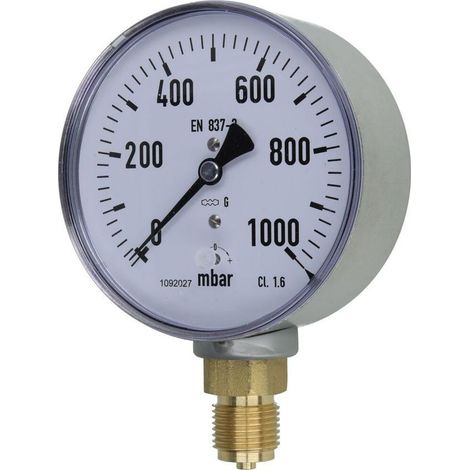 Manomètre à ressort avec capsule, gaz 0 - 1000 mbar