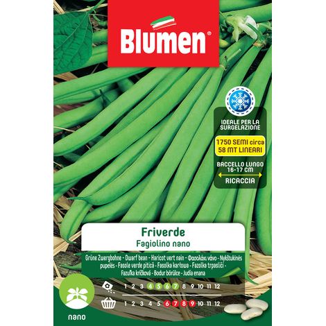 SEMI DI FAGIOLINI NANI FRIVERDE