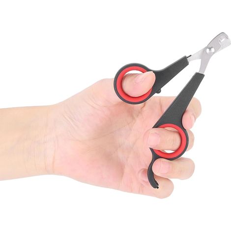 Ciseaux à griffes pour oiseaux, accessoires de toilettage pour petits oiseaux (perroquets, etc.), noirs et rouges. (1/5)
