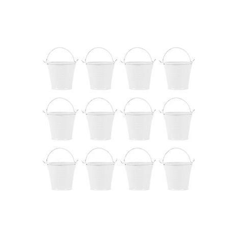 Lot de 12 seaux en fer pour plantes succulentes, seaux de rangement portables pour fleurs, idéaux pour balcon.