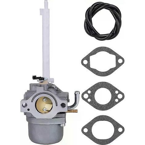 Carburateur 796122 794593 compatible avec les carburateurs BRIGGS & STRATTON 793161 696737, remplacement pour souffleuse à neige (1/5)