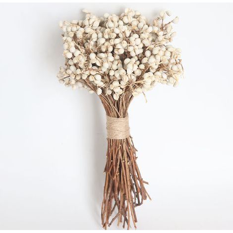 Yunnan base wholesale small ginkgo dried flowers 100g home decoration glass cover props photography DIY materials (1/5)