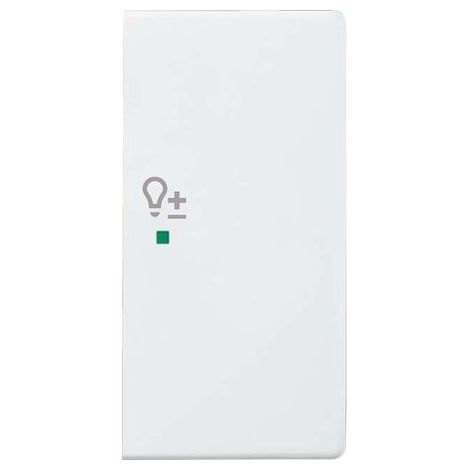 BUSCH-JAEGER 6220-0-0255 PRISE COUVRE