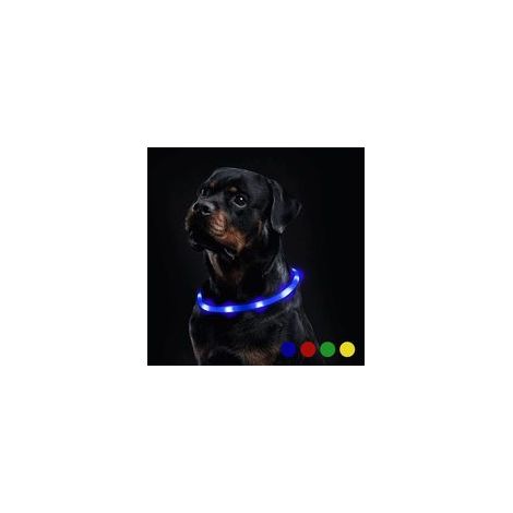 Collier de chien LED en silicone lumineux, bleu – (1/3)