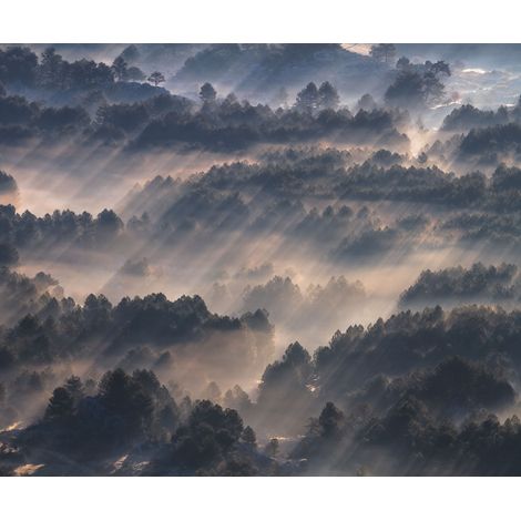 Papier peint panoramique classique,modern,naturel Rayons (1/4)