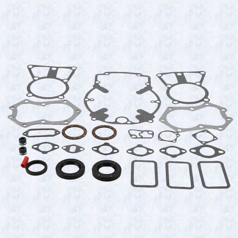 Ensemble de joints 25 755 37-S pour moteurs Kohler M18, M20, KT17, KT19, KT21 (1/5)