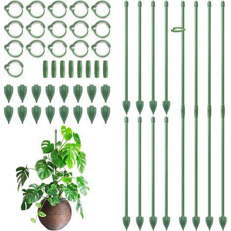 Support pour plantes - Support pour arbustes de 30 cm - Treillis avec pinces - Support pour plantes réglable pour Monstera, orchidées, tomates, roses et fleurs (16 pièces - vert) (1/5)