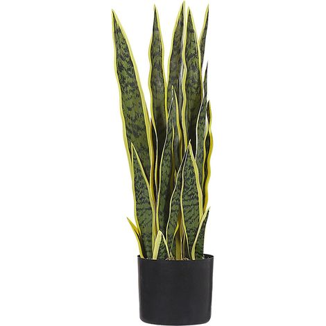 Pianta artificiale decorazione per Interni pianta finta in materiale sintetico 63 cm Snake Plant (1/5)