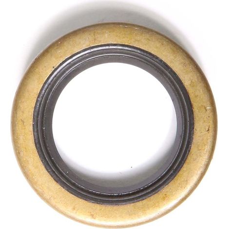 Joint spi pour moteur Briggs & Stratton N°391485 et 294167