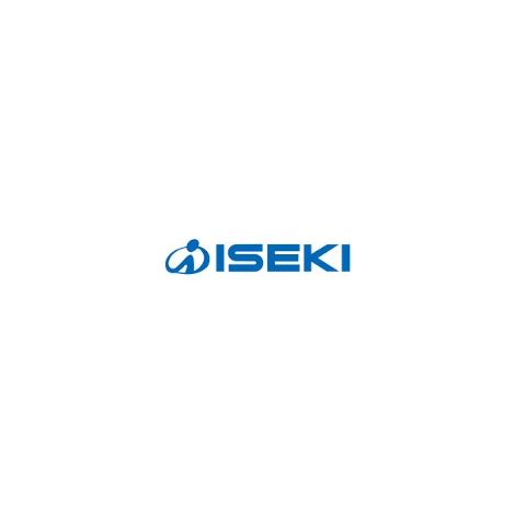 cartouche air 4270 - 144410137000 - Iseki (1/2)