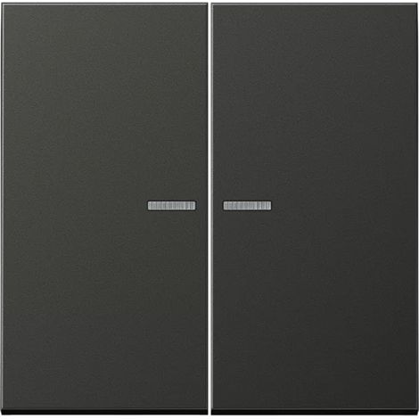 Jung Wippe 2fach, mit Lichtleiter, Aluminium lackiert, Serie LS, anthrazit AL 2995 KO5 AN (1/2)