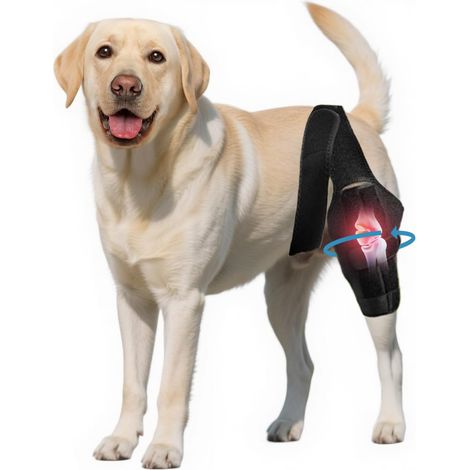 Genouillères pour pattes arrière de chiens, genouillères ajustables pour chiens, pour prévenir la rupture du ligament croisé antérieur chez les chiens - Protections pour pattes de chiens - Maintien de (1/5)