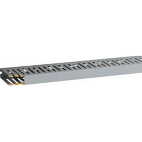 T1-EN 25x60 G Canalina con coestruso morbido modulo 10 feritoia 4, Grigio
