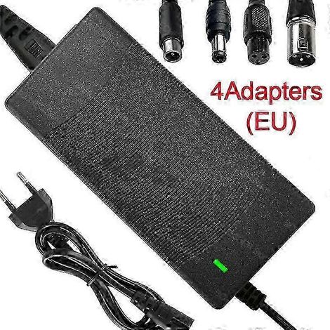 Chargeur de batterie au lithium 42 V 2 A avec adaptateur secteur pour draisienne électrique