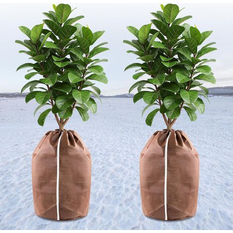 CCYKXA Set of 2 thermal plant covers for outdoor use, 65 x 70 cm, winter protection for potted plants, pot protector with drawstring, frost protection for plants (1/5)