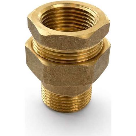 Messing Verschraubung 1'' Rohrverschraubung flach dichtend DN25 1 Zoll IG/AG