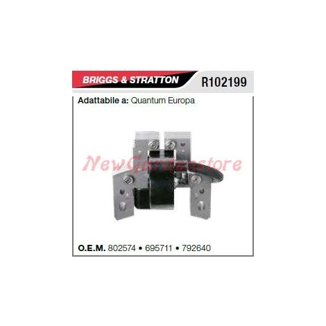 Bobina di accensione B&S tagliaerba tosaerba rasaerba quantum europa R102199