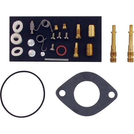 Kit réparation carburateur BRIGGS ET STRATTON 690191