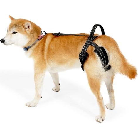 Reflective Transport Harness for Dogs, Rehabilitation Dog Harness with Handle and Adjustable Straps, Back Shoulder Strap for Elderly, Sick, Injured and Disabled Dogs (1/5)