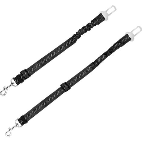 Hundeleine – Extrem strapazierfähiges Nylonseil – Ergonomisch gepolsterter Griff – Drehbarer Karabiner für optimale Kontrolle (1/5)