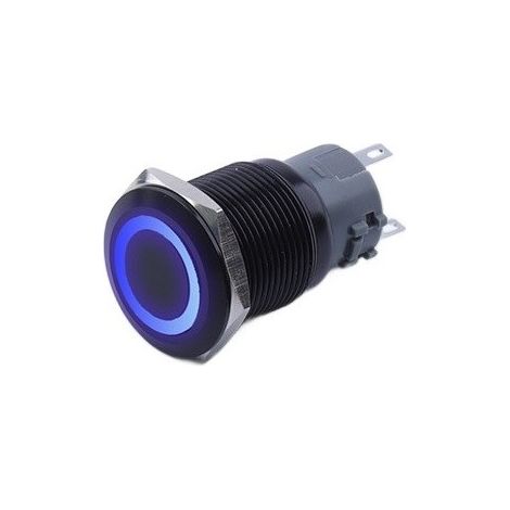 Monostabiler Drucktaster, schwarz, vandalensicher, 250 V, 5 A, 19 x 38 mm, blau (1/4)